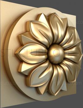 3D model Anemone (STL)