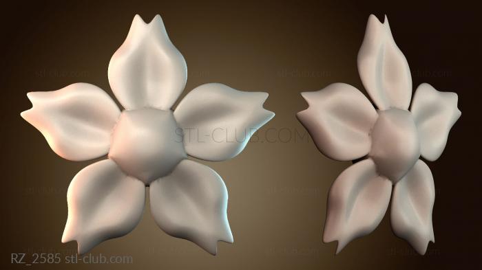 Розетки RZ_2585