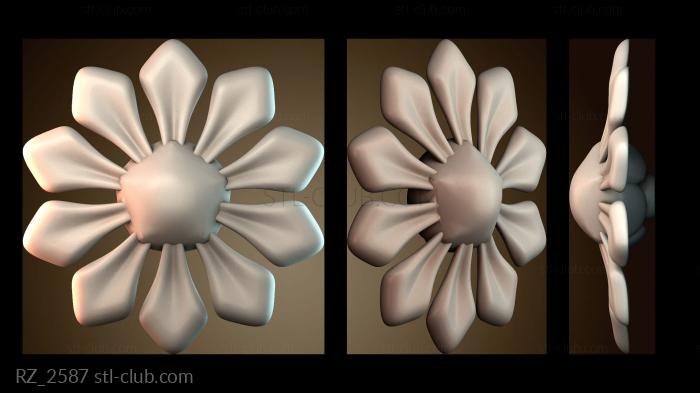 Розетки RZ_2587