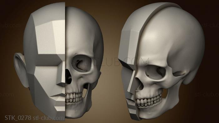 New version of Head Stub with ANTM0264 skull