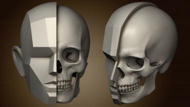 3D model New version of Head Stub with ANTM0264 skull (STL)