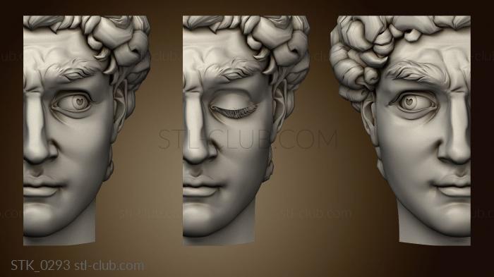 3D model Half-face of David (STL)