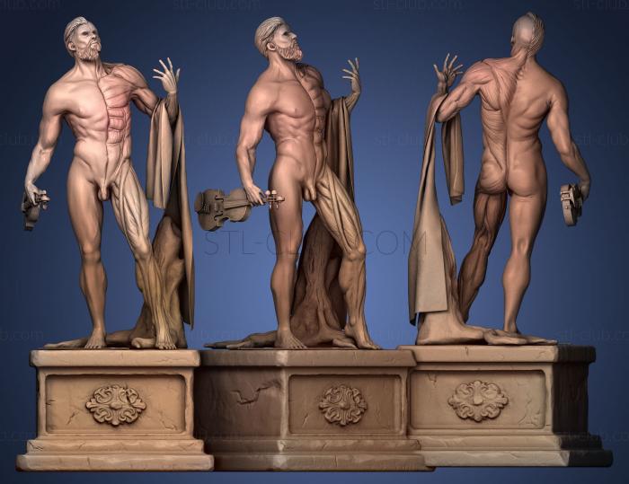 Contrapposto Anatomy