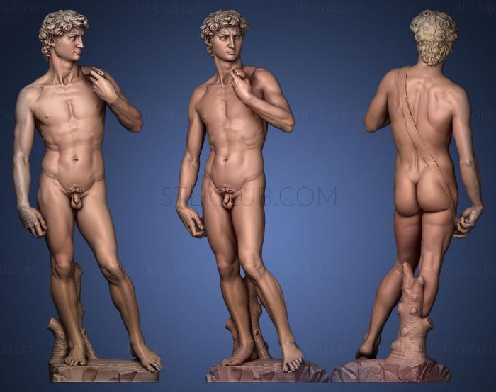 3D model David Michelangelo Galleria dell Accademia Florence Italy (STL)