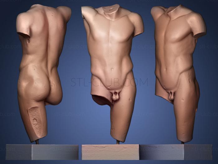 3D model Torso Of An Ephebe Westmacott Type (STL)