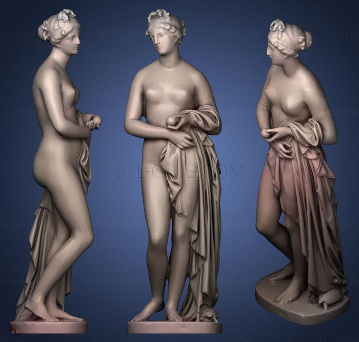 Venus Verticordia collection Lowpoly