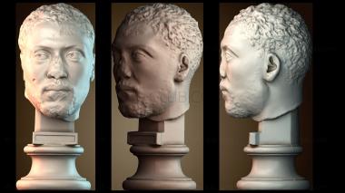 3D model STKA_1915 (STL)