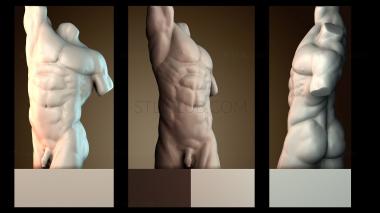 3D model STKA_1966 (STL)