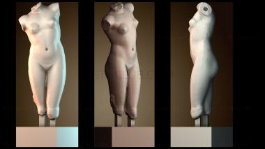 3D model Fragement of The Esquiline Venus at the Louvre, Paris (STL)