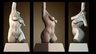 3D model STKA_2204 (STL)