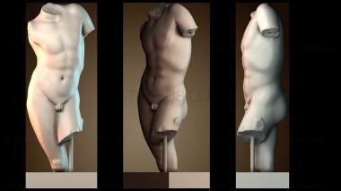 3D мадэль Торс юноши (STL)