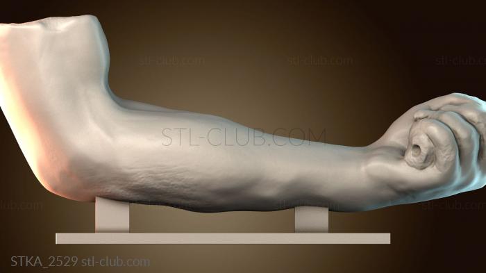 Статуи античные и исторические STKA_2529