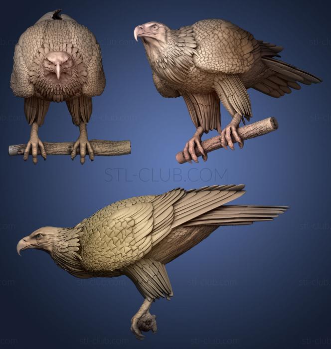 3D model eagle on a perch preparing for takeoff (STL)