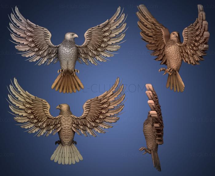 eagle with unfolded wings high detailed