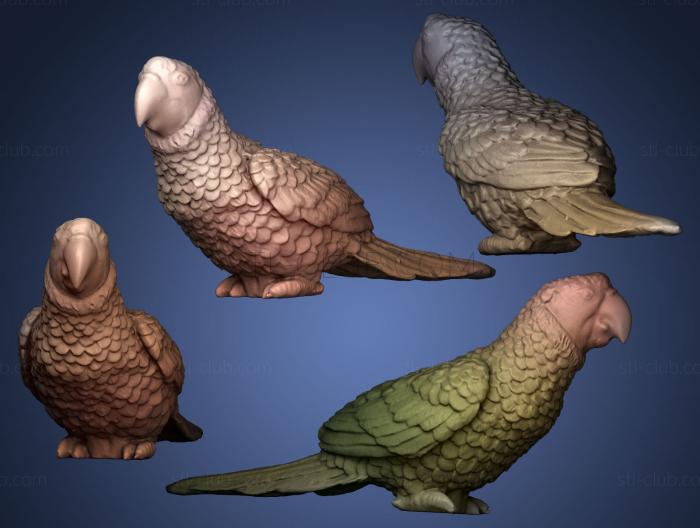 3D модель Попугай Ара красный Зеленый (STL)