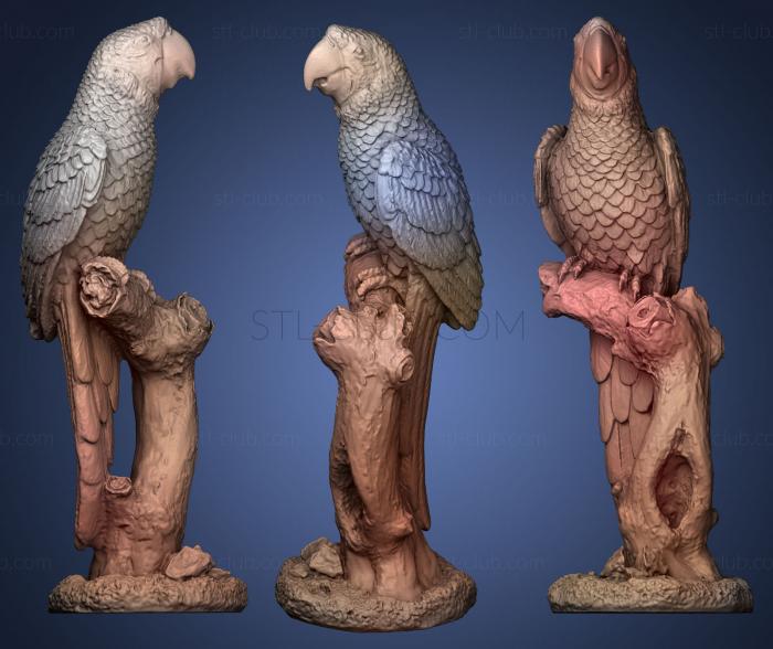 3D модель Попугай Ара красный на насесте (STL)