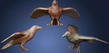 3D model Crow Open Wings Large Size Remix (STL)