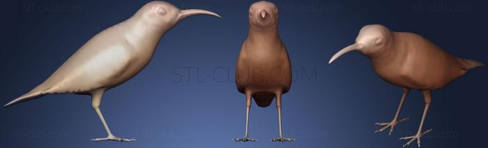 Статуэтки птицы Смесь Sunbird с оливковой подложкой