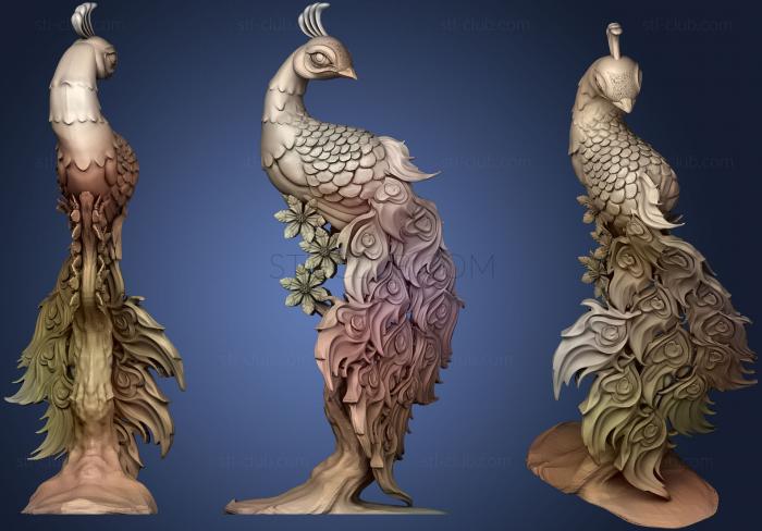 Peacock (Not For Support Printing)