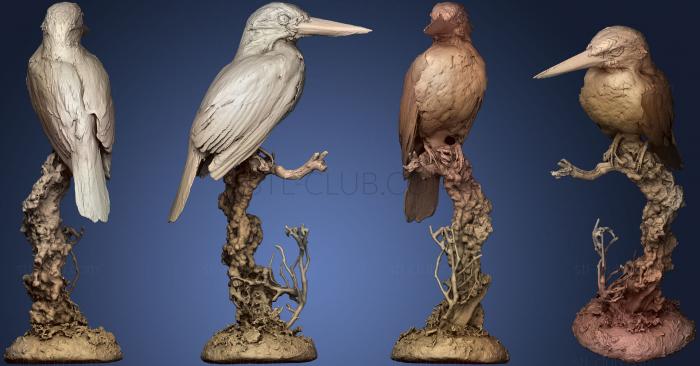 3D model White throated Kingfisher (STL)