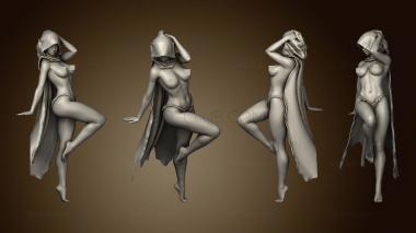 3D модель Повседневный капюшон Pinups (STL)