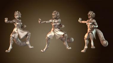 3D модель Кошачья Девушка Монах Панч (STL)