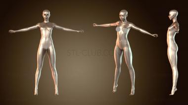 3D модель Высокий стиль (STL)