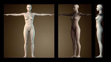 3D модель STKGL_8110 (STL)