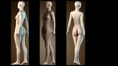 3D модель STKGL_8325 (STL)