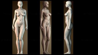 3D модель STKGL_8391 (STL)