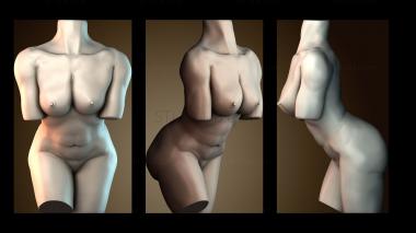 3D модель STKGL_8620 (STL)