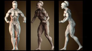 3D модель Женщина тренируется в спортзале для принтера (STL)