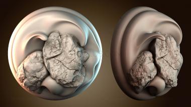 3D модель STKGL_9503 (STL)