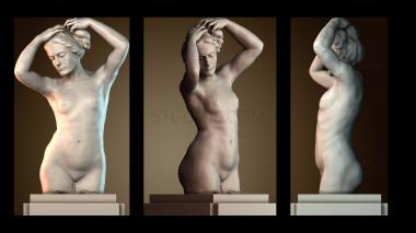 3D модель STKGL_9580 (STL)