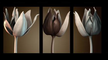 3D модель STKGL_9591 (STL)