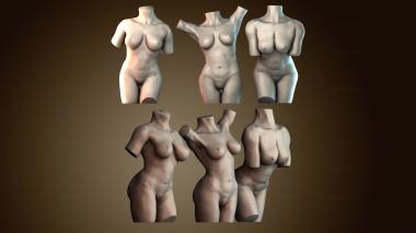 3D модель STKGL_9629 (STL)