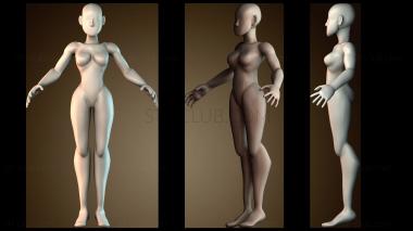 3D модель STKGL_9771 (STL)