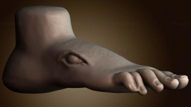 3D модель STKGL_9796 (STL)