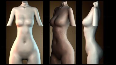 3D модель STKGL_9864 (STL)