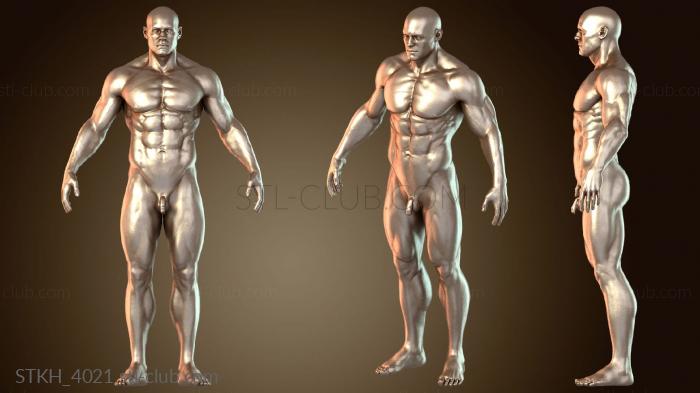 Статуэтки люди Мужская анатомия ZTL ZRemesher