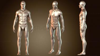 3D модель Мужчина (STL)