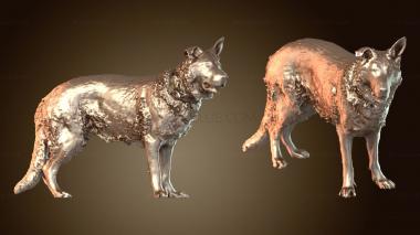 3D модель Вид перца (STL)