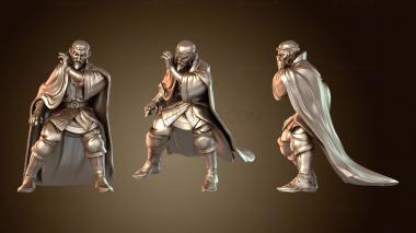 3D модель Советник королевского двора (STL)