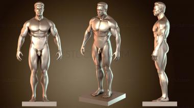 3D модель Т. Арнольд (STL)