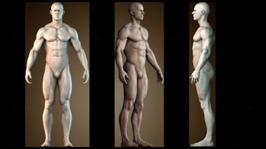 3D модель Мускулистый мужчина (STL)
