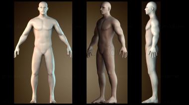 3D модель STKH_4499 (STL)