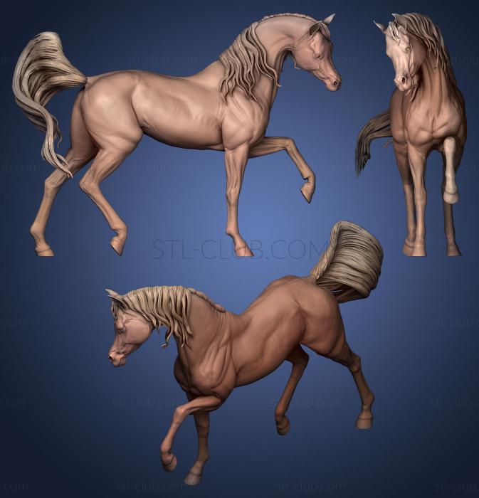3D мадэль Скульптура лошади (STL)