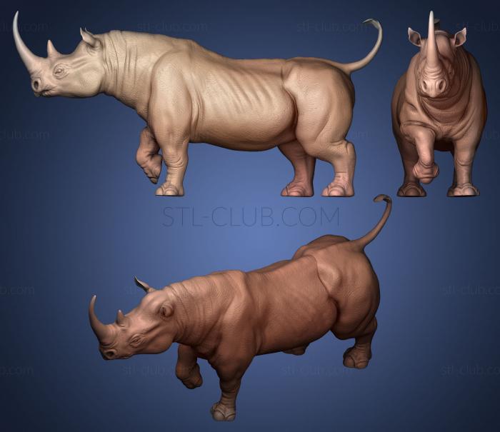 3D model Rhino with a raised leg (STL)