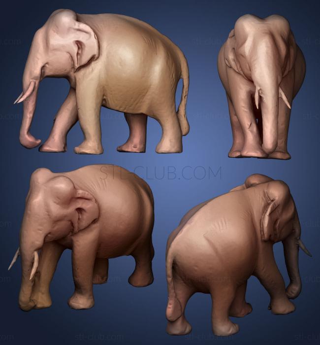 3D модель Слон из дерева (STL)