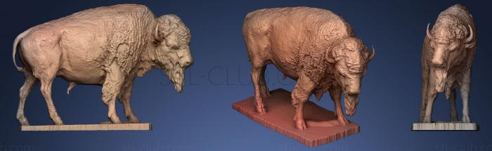 American Buffalo Statue